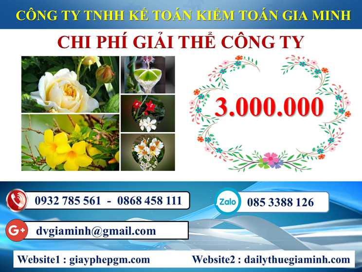 Chi phí dịch vụ giải thể doanh nghiệp tại Hòa Bình