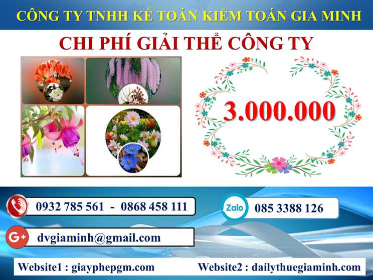 Dịch vụ giải thể doanh nghiệp tại Huyện đảo Cát Hải 5 Chi phí dịch vụ giải thể doanh nghiệp tại Huyện đảo Cát Hải