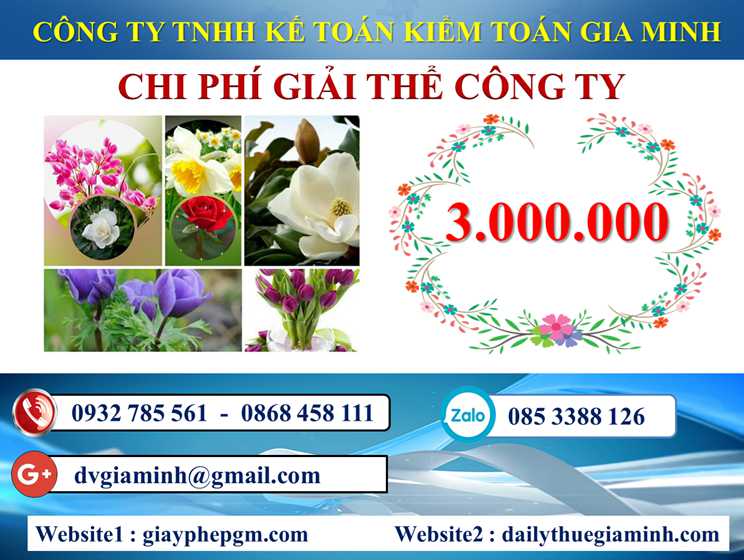 Dịch vụ giải thể doanh nghiệp tại Huyện Kiến Thụy 5 Chi phí dịch vụ giải thể doanh nghiệp tại Huyện Kiến Thụy