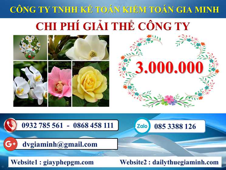 Dịch vụ giải thể doanh nghiệp tại Huyện Mỹ Đức 5 Chi phí dịch vụ giải thể doanh nghiệp tại Huyện Mỹ Đức