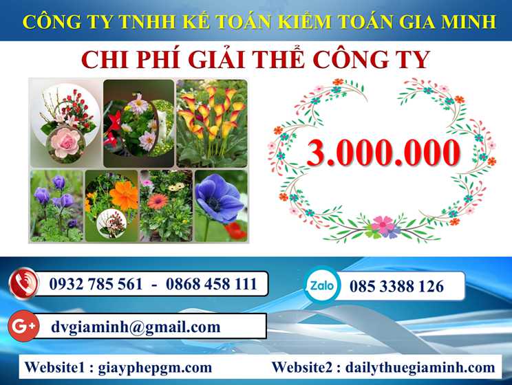 Chi phí dịch vụ giải thể doanh nghiệp tại Huyện Thủy Nguyên