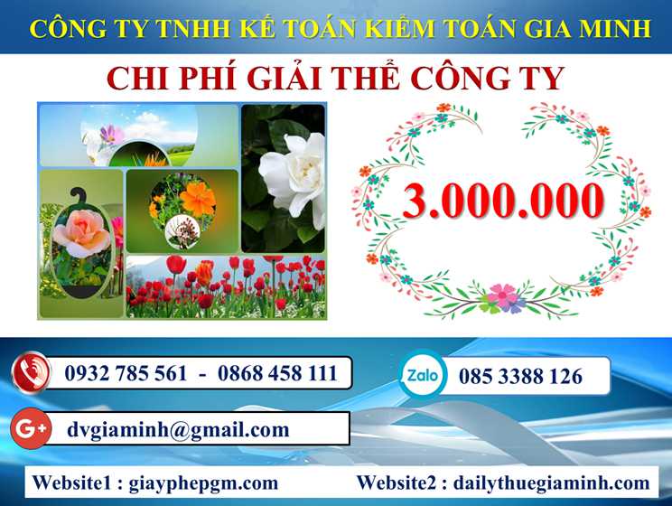 Dịch vụ giải thể doanh nghiệp tại Huyện Vĩnh Thạnh 5 Chi phí dịch vụ giải thể doanh nghiệp tại Huyện Vĩnh Thạnh