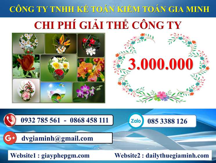 Dịch vụ giải thể doanh nghiệp tại Kiên Giang 5 Chi phí dịch vụ giải thể doanh nghiệp tại Kiên Giang