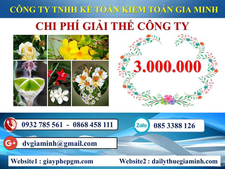 Dịch vụ giải thể doanh nghiệp tại Ninh Thuận 5 Chi phí dịch vụ giải thể doanh nghiệp tại Ninh Thuận