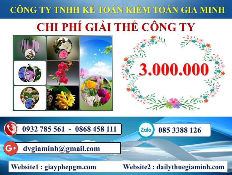 Dịch vụ giải thể doanh nghiệp tại Quận Cái Răng 5 Chi phí dịch vụ giải thể doanh nghiệp tại Quận Cái Răng