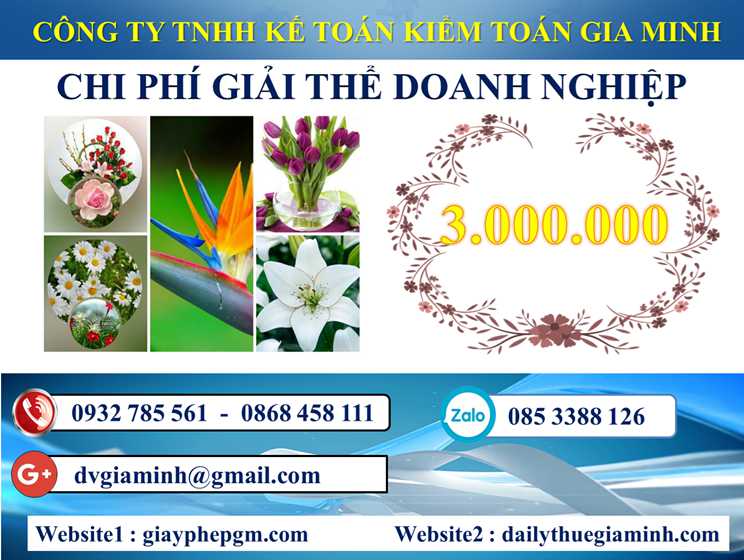 Dịch vụ giải thể doanh nghiệp tại Thành phố Hồ Chí Minh 5 Chi phí dịch vụ giải thể doanh nghiệp tại Thành phố Hồ Chí Minh