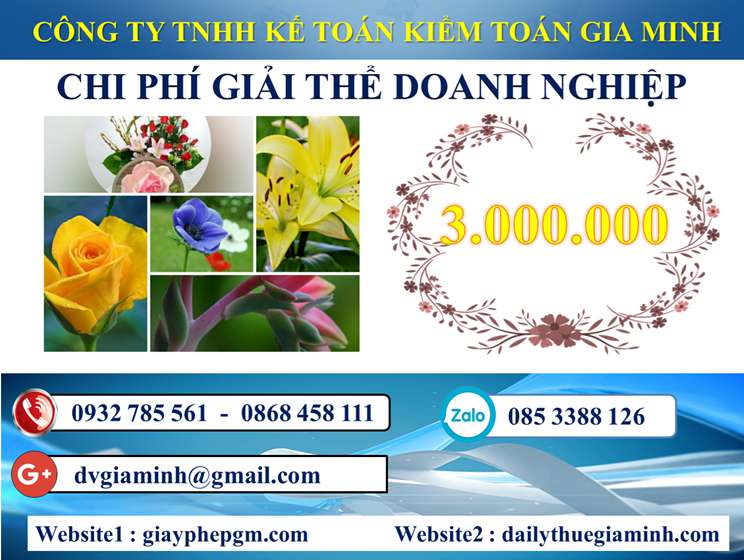 Dịch vụ giải thể công ty trọn gói tại Bình Thuận 5 Chi phí Dịch vụ giải thể công ty trọn gói tại Bình Thuận