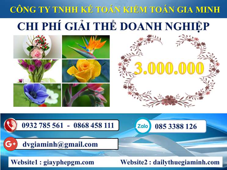 Dịch vụ giải thể công ty trọn gói tại Cần Thơ 5 Chi phí Dịch vụ giải thể công ty trọn gói tại Cần Thơ