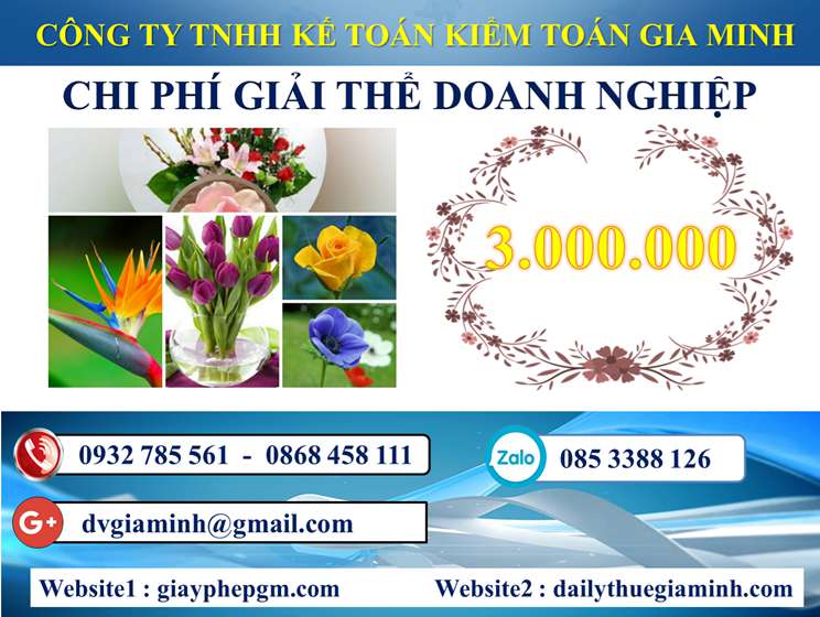 Chi phí Dịch vụ giải thể công ty trọn gói tại Hải Phòng
