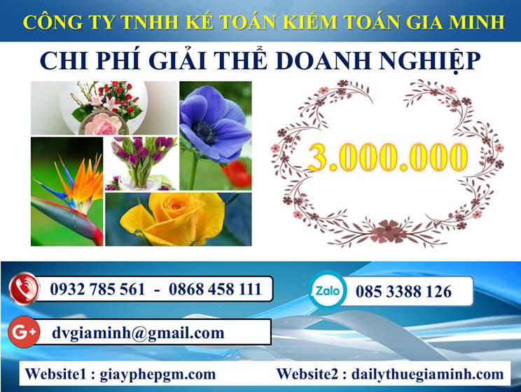 Dịch vụ giải thể công ty trọn gói tại Hòa Bình 5 Chi phí Dịch vụ giải thể công ty trọn gói tại Hòa Bình