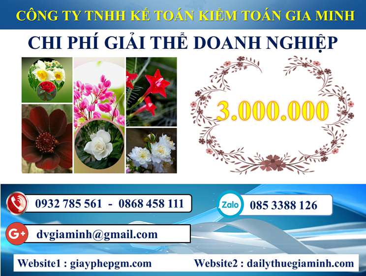 Dịch vụ giải thể công ty trọn gói tại Huyện Chương Mỹ 5 Chi phí Dịch vụ giải thể công ty trọn gói tại Huyện Chương Mỹ