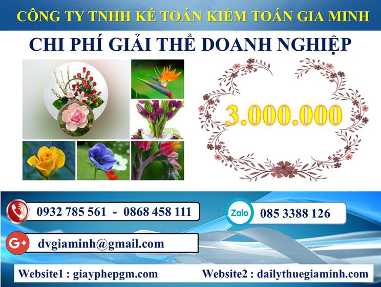 Chi phí giải thể doanh nghiệp tại Huyện đảo Bạch Long Vĩ