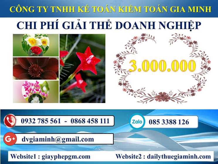 Dịch vụ giải thể công ty trọn gói tại Huyện Mỹ Đức 5 Chi phí Dịch vụ giải thể công ty trọn gói tại Huyện Mỹ Đức