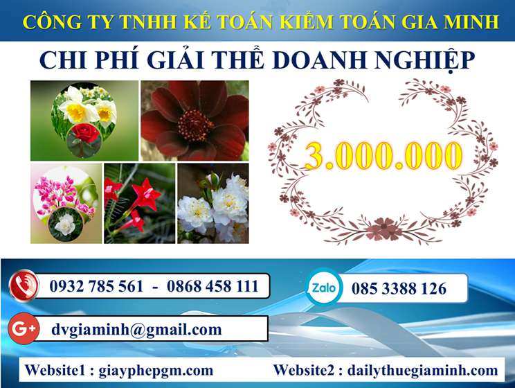 Dịch vụ giải thể công ty trọn gói tại Quận Bình Thạnh 5 Chi phí Dịch vụ giải thể công ty trọn gói tại Quận Bình Thạnh