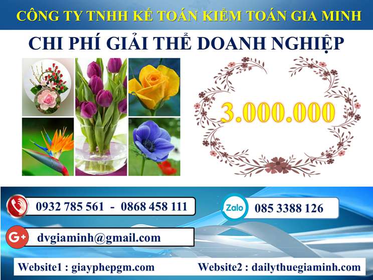 Dịch vụ giải thể công ty trọn gói tại Quận Ngũ Hành Sơn 5 Chi phí Dịch vụ giải thể công ty trọn gói tại Quận Ngũ Hành Sơn