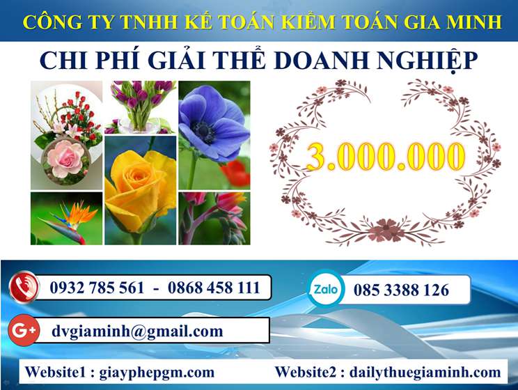 Dịch vụ giải thể công ty trọn gói tại Thanh Hóa uy tín, nhanh chóng và đúng pháp luật 11 Chi phí Dịch vụ giải thể công ty trọn gói tại Thanh Hóa