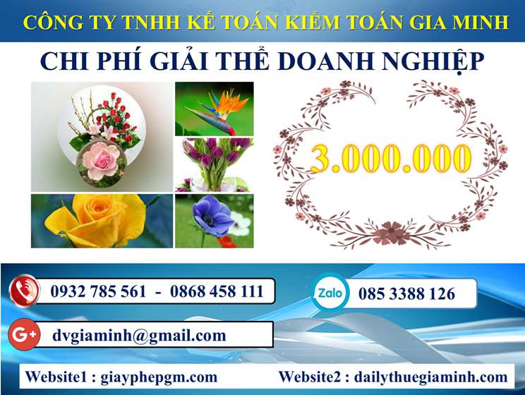 Dịch vụ giải thể công ty trọn gói tại Thành Phố Huế 5 Chi phí Dịch vụ giải thể công ty trọn gói tại Thành Phố Huế