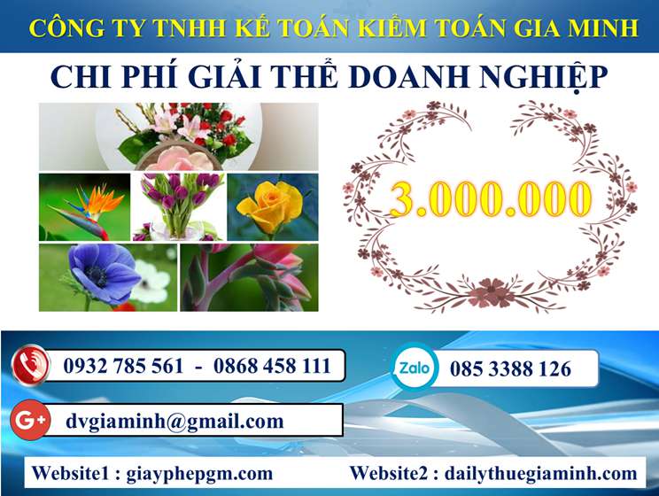 Dịch vụ giải thể công ty trọn gói tại Tuyên Quang 5 Chi phí Dịch vụ giải thể công ty trọn gói tại Tuyên Quang