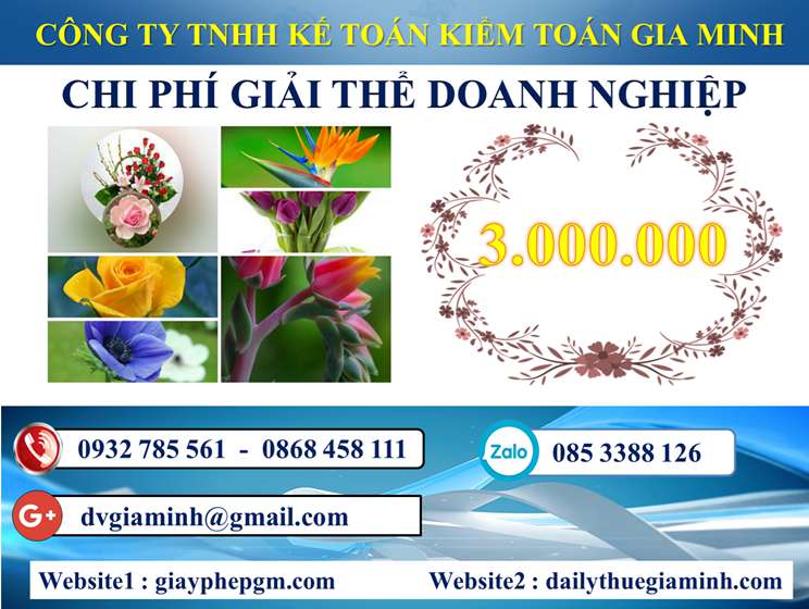 Dịch vụ giải thể công ty trọn gói tại Vũng Tàu 5 Chi phí Dịch vụ giải thể công ty trọn gói tại Vũng Tàu