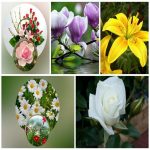 Dịch vụ giải thể công ty trọn gói giá rẻ tại Bắc Giang 6 Muốn giải thể công ty trọn gói giá rẻ tại Bắc Giang
