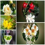 Dịch vụ giải thể công ty trọn gói giá rẻ tại Bắc Kạn 6 Muốn giải thể công ty trọn gói giá rẻ tại Bắc Kạn