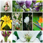 Dịch vụ giải thể công ty trọn gói giá rẻ tại Bình Thuận 6 Muốn giải thể công ty trọn gói giá rẻ tại Bình Thuận