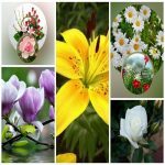 Dịch vụ giải thể công ty trọn gói giá rẻ tại Đắk Nông 6 Muốn giải thể công ty trọn gói giá rẻ tại Đắk Nông