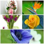 Dịch vụ giải thể công ty trọn gói giá rẻ tại Điện Biên 6 Muốn giải thể công ty trọn gói giá rẻ tại Điện Biên