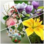 Dịch vụ giải thể công ty trọn gói giá rẻ tại Gia Lai 6 Muốn giải thể công ty trọn gói giá rẻ tại Gia Lai