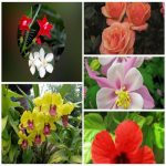 Dịch vụ giải thể công ty trọn gói giá rẻ tại Hà Giang 6 Muốn giải thể công ty trọn gói giá rẻ tại Hà Giang