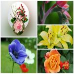 Dịch vụ giải thể công ty trọn gói giá rẻ tại Hà Nội 6 Muốn giải thể công ty trọn gói giá rẻ tại Hà Nội
