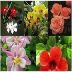 Muốn giải thể công ty trọn gói giá rẻ tại Hà Tĩnh