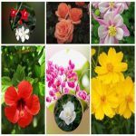 Muốn giải thể công ty trọn gói giá rẻ tại Hải Phòng