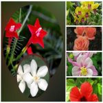Muốn giải thể công ty trọn gói giá rẻ tại Hưng Yên