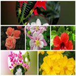 Dịch vụ giải thể công ty trọn gói giá rẻ tại Huyện An Lão 6 Muốn giải thể công ty trọn gói giá rẻ tại Huyện An Lão
