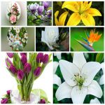 Dịch vụ giải thể công ty trọn gói giá rẻ tại Huyện Chương Mỹ – Nhanh, đúng luật 6 Muốn giải thể công ty trọn gói giá rẻ tại Huyện Chương Mỹ