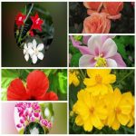 Dịch vụ giải thể công ty trọn gói giá rẻ tại Huyện Cờ Đỏ 6 Muốn giải thể công ty trọn gói giá rẻ tại Huyện Cờ Đỏ