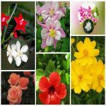 Dịch vụ giải thể công ty trọn gói giá rẻ tại Huyện Đảo Cát Hải – Uy tín, nhanh chóng 6 Muốn giải thể công ty trọn gói giá rẻ tại Huyện Đảo Đảo Cát Hải