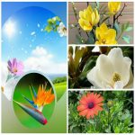 Giải thể công ty trọn gói giá rẻ tại Huyện Gia Lâm – Hỗ trợ toàn diện từ A đến Z 6 Muốn giải thể công ty trọn gói giá rẻ tại Huyện Gia Lâm