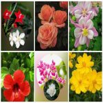 Dịch vụ giải thể công ty trọn gói giá rẻ tại Huyện Hòa Vang 6 Muốn giải thể công ty trọn gói giá rẻ tại Huyện Hòa Vang