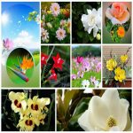 Dịch vụ giải thể công ty trọn gói giá rẻ tại Huyện Hoài Đức 6 Muốn giải thể công ty trọn gói giá rẻ tại Huyện Hoài Đức