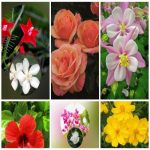 Dịch vụ giải thể công ty trọn gói giá rẻ tại Huyện Hoàng Sa 6 Muốn giải thể công ty trọn gói giá rẻ tại Huyện Hoàng Sa