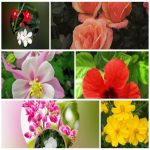 Dịch vụ giải thể công ty trọn gói giá rẻ tại Huyện Kiến Thụy – Nhanh chóng, đúng pháp luật 6 Muốn giải thể công ty trọn gói giá rẻ tại Huyện Kiến Thụy