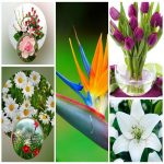 Dịch vụ giải thể công ty trọn gói giá rẻ tại Huyện Mê Linh 6 Muốn giải thể công ty trọn gói giá rẻ tại Huyện Mê Linh