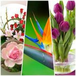 Dịch vụ giải thể công ty trọn gói giá rẻ tại Huyện Phú Xuyên – Nhanh gọn, đúng luật 6 Muốn giải thể công ty trọn gói giá rẻ tại Huyện Phú Xuyên