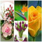 Dịch vụ giải thể công ty trọn gói giá rẻ tại Huyện Thạch Thất – Uy tín, nhanh chóng, đúng luật 6 Muốn giải thể công ty trọn gói giá rẻ tại Huyện Thạch Thất