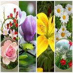 Dịch vụ giải thể công ty trọn gói giá rẻ tại Huyện Thanh Oai 6 Muốn giải thể công ty trọn gói giá rẻ tại Huyện Thanh Oai
