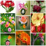 Dịch vụ giải thể công ty trọn gói giá rẻ tại Huyện Thường Tín 6 Muốn giải thể công ty trọn gói giá rẻ tại Huyện Thường Tín