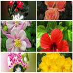 Dịch vụ giải thể công ty trọn gói giá rẻ tại Huyện Vĩnh Bảo 6 Muốn giải thể công ty trọn gói giá rẻ tại Huyện Vĩnh Bảo