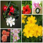 Dịch vụ giải thể công ty trọn gói giá rẻ tại Huyện Vĩnh Thạnh 6 Muốn giải thể công ty trọn gói giá rẻ tại Huyện Vĩnh Thạnh